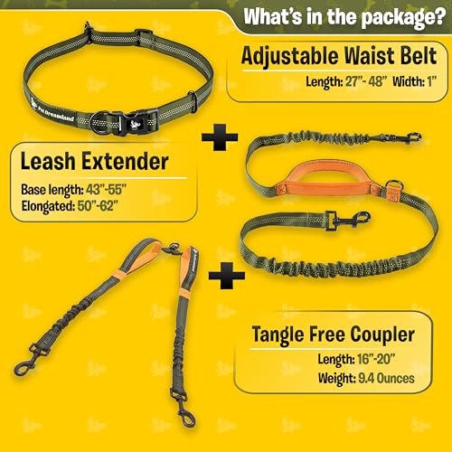 Exquisite Hands Free Double Dog Leash for Two Dogs with Tangle (Khaki & Orange)