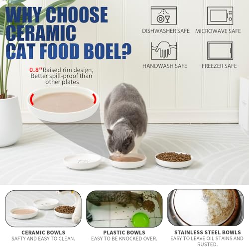 Shallow Wide Cat Food Bowls Anti Whisker Fatigue (Blue)