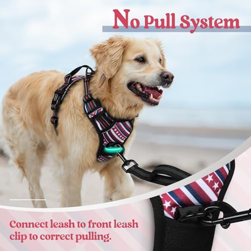 Dog Harness No Pull Medium Sized with 2 Leash Clips (Medium / Red Stripe)