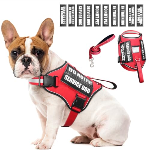 Service Dog Harness and Leash Set (Medium / Red)