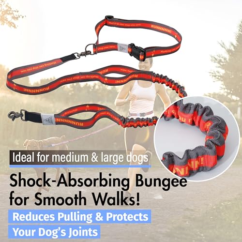 Hands Free Dog Leash (Orange)