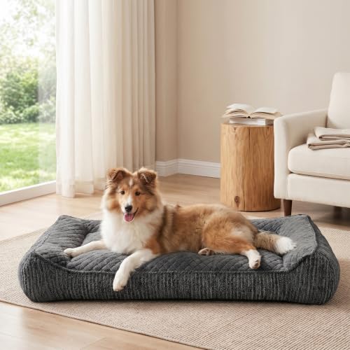 Orthopedic Dog Bed for Medium Dogs (L(35"L x 25"W x 8"Th) / Grey)