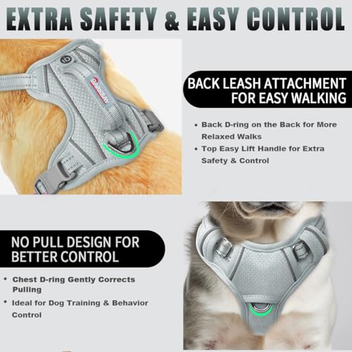 Dog Harness for Small Sized Dog No Pull Dog Vest ID Tag Pocket (Grey / Small)