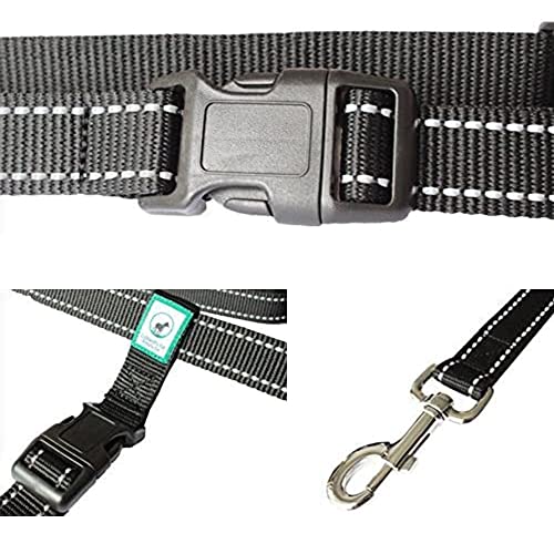 Hands Free Dog Leash - PetSolution