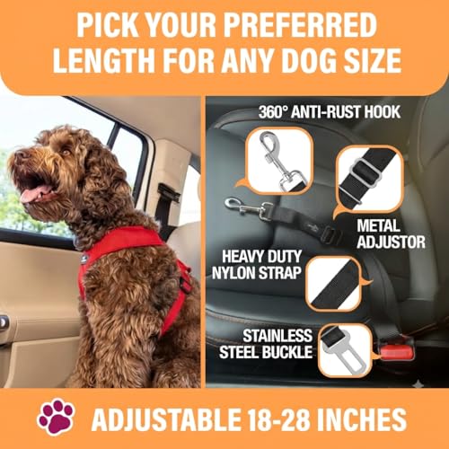 Black Car Seat Belt for Dogs 2 Pack (Black - 2 Pack)