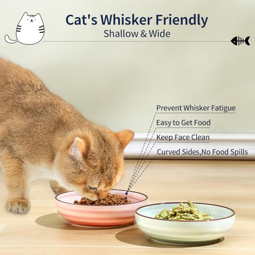 Ceramic Cat Bowls Set of 6 (5.6 Inch, Set of 6 / Gradient Color)