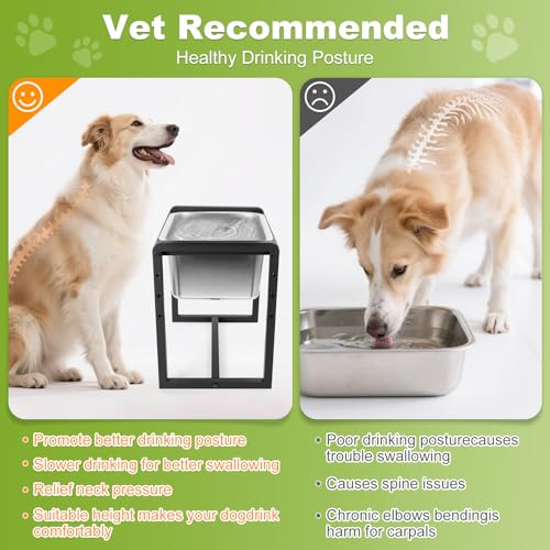 Adjustable Height Elevated Large Dog Water Bowls with Stainless Steel Bowls and Metal Stand (2GLLON)