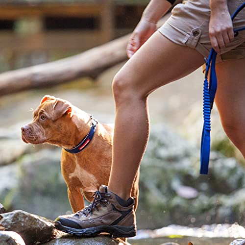 Zero Shock Bungee Dog Leash (Orange / 72-Inch)