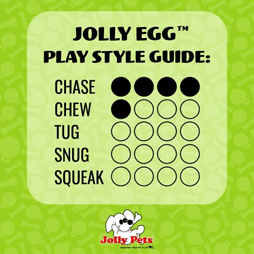 Jolly Egg Dog Toy (Large (12 in) / Purple)