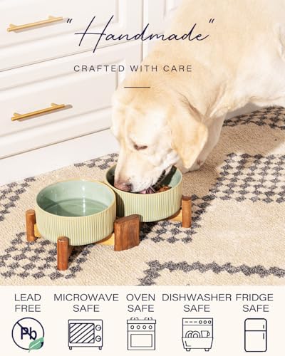 Ceramic Dog Bowls Set with Acacia Wood Stand (Large-3.5Cups / Vintage Grey)