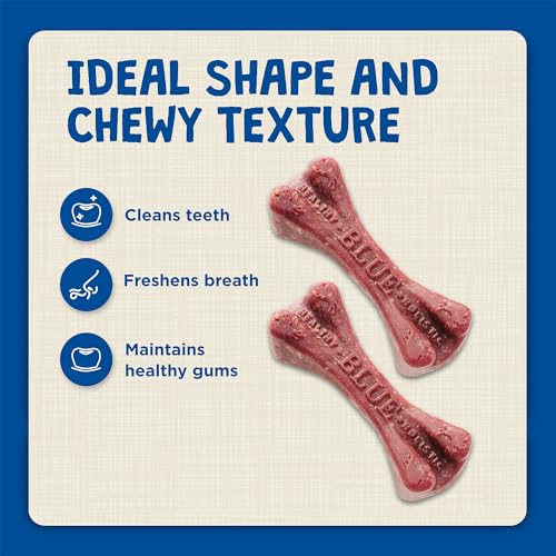Large Dental Bones (27 Ounce (Pack of 1))