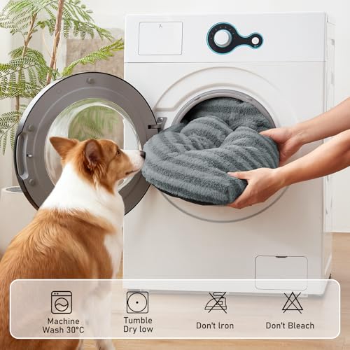 Washable Small Dog Bed (Gray / 23.0"l x 18.0"w x 3"th)