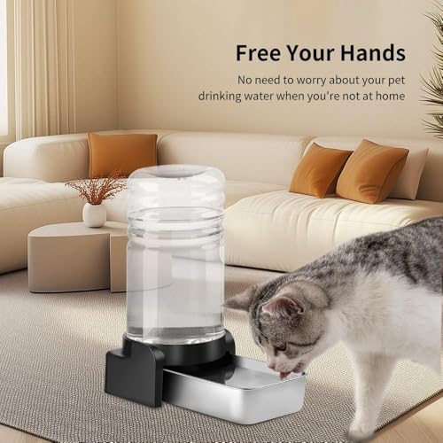 1.5 Gallon Cat Water Dispenser