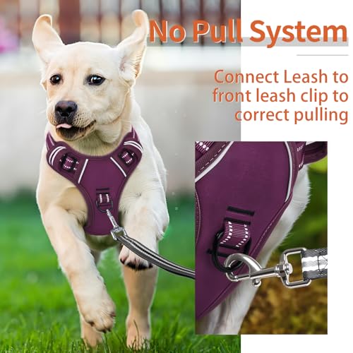 Dog Harness for Small Dogs No Pull Dog Vest Harness for Small Dog with Soft Padded Handle Reflective for Outdoor Training (S / Purple(Matching Trim))