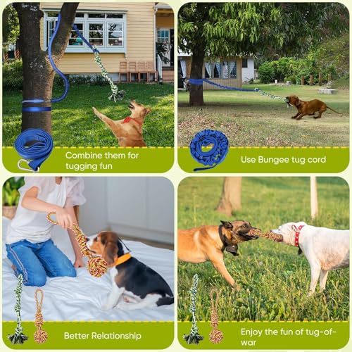 Outdoor Dog Bungee Tug Toy (Large)