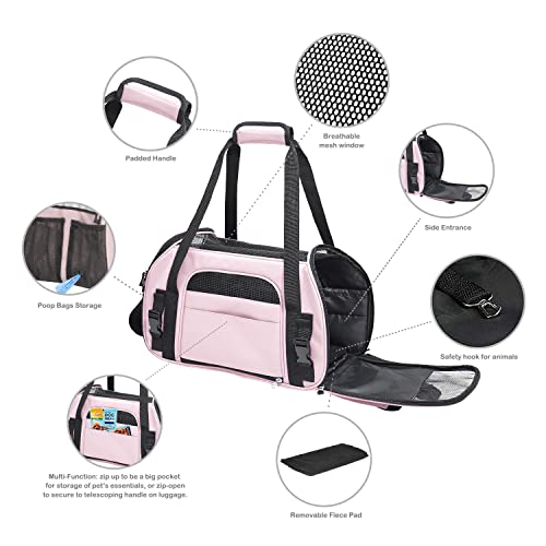 Soft Sided Airline (19.0"L x 10.0"W x 13.0"H / Pink)