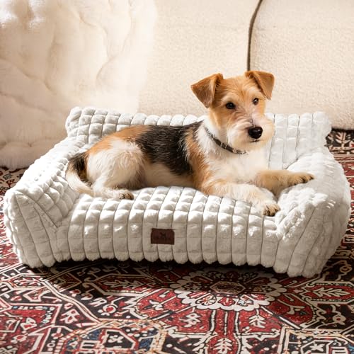 Cat Couch Bed with Fluffy Faux Rabbit Fur for Indoor Cats (Off White / Medium: 30"L x 20"W x 10"Th)