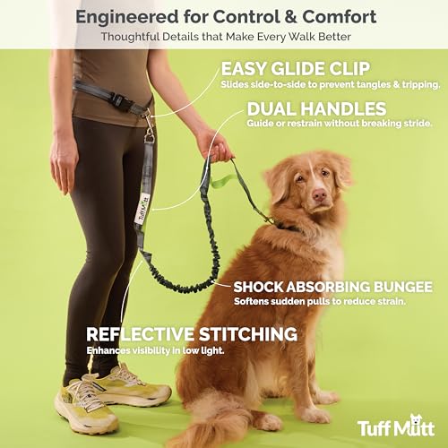 Waist Hands Free Dog Leash for Walking Running Hiking (gray/teal)