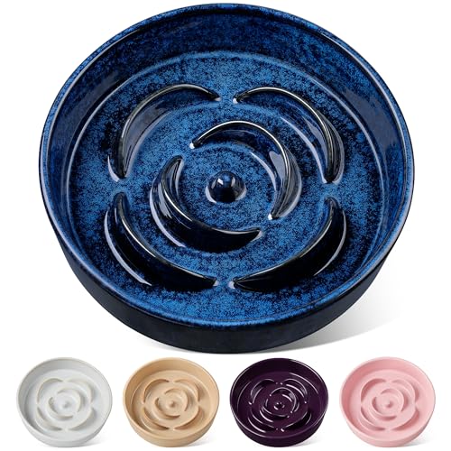 Slow Feeder Dog Bowl (L - 3 Cups / Blue)