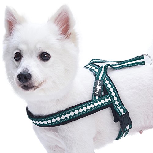 6 Colors Soft & Comfy Jacquard Padded Dog Harness (Medium(21.5" - 27.5") Chest Girth / Teal Blue)