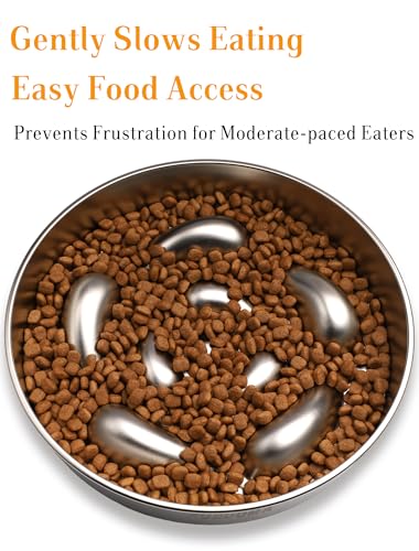 Stainless Steel Slow Feeder Dog Bowls
