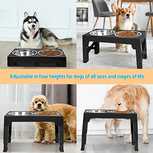 Elevated Dog Bowls with 2 Stainless Steel Dog Food Bowls (Black)