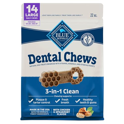 Chicken & Spearmint Large Dental Chews (22 Ounce (Pack of 1))