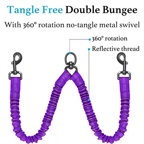 Double Dog Leash (Purple / Large)