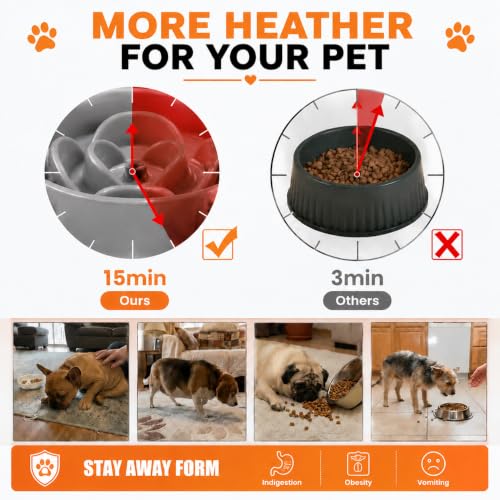 Elevated Slow Feeder Ceramic Dog Bowls 8.26in (Gray / 8.26in)
