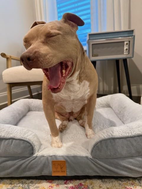100% Orthopedic Memory Foam Large Dog Bed