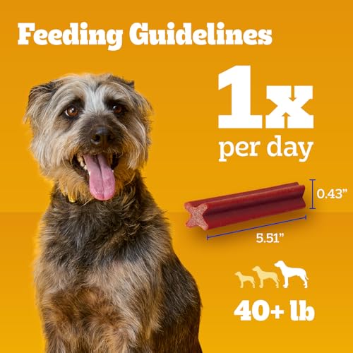 Dentastix Large Breed Dental Dog Treats (40 Count (Pack of 1))