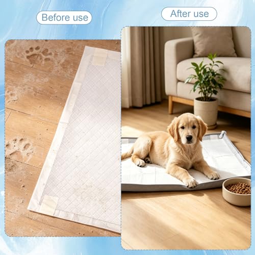 Silicone Dog Pee Pad Holder Fits Up to 24x24 Inch Pee Pads - PetSolution