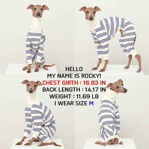 D Doggy Star Italian Greyhound Clothes Soft Stretchy Onesie Refined Stripe Outfit Whippet for Dog Coat (L / Onesie Blue Stripe)