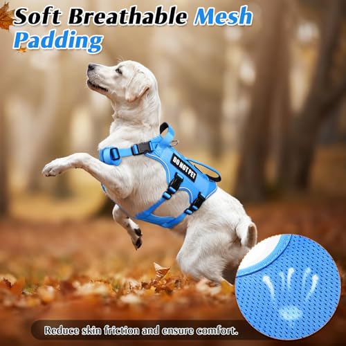 Escape Proof Dog Harness with Double Handle+4 Removable Patches (X-Large / Blue)