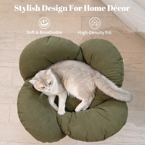 Elevated Cat Bed for Indoor Cats Couch Sofa Flower (Green)