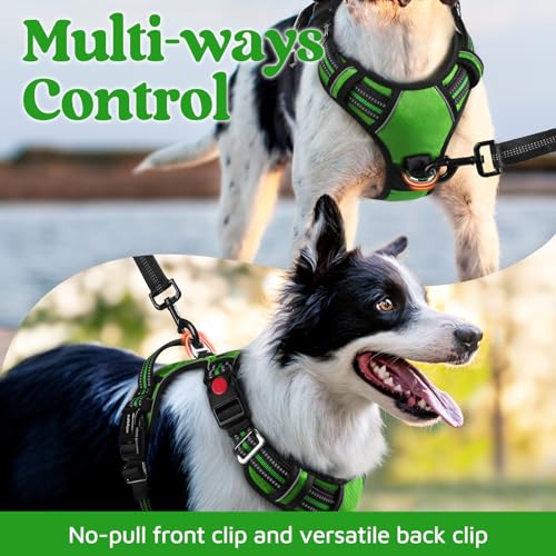 Dog Harness for Large (Green / X-Large)