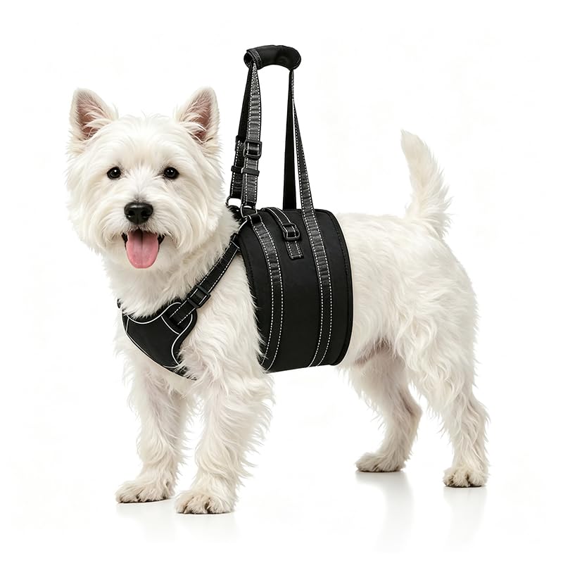 Dog Lift Harness Sling (Medium / Black1)