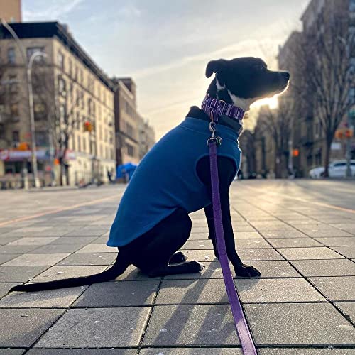 Stretch Fleece Vest Dog Sweater (6X-Large Length (27.5") / Steel Blue)