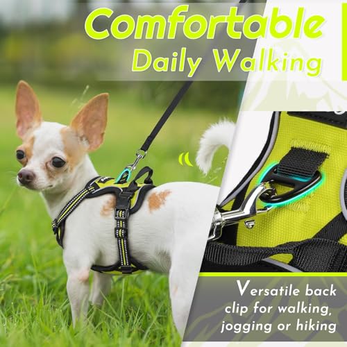 Dog Harness for Small Dogs (X-Small / Green)