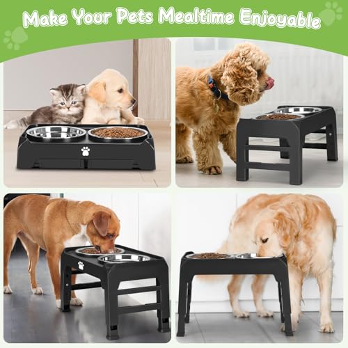 Elevated Bowls with Adjustable Heights (Black / Medium dogs)