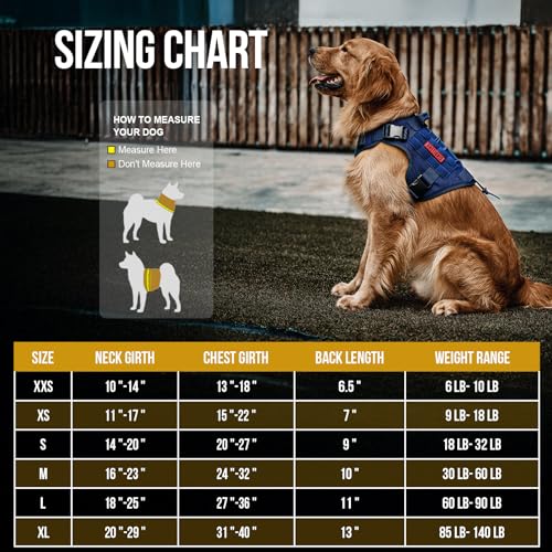 Tactical Dog Harness with Handle No (Large / Blue)