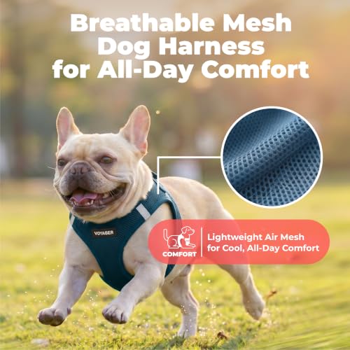 Voyager Step in Air Dog Vest Harness (Blue / L (Chest: 18 - 20.5"))