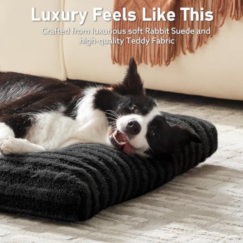 Washable Dog Bed Large Sized Dogs (Black / 35.0"l x 23.0"w x 3.5"th)