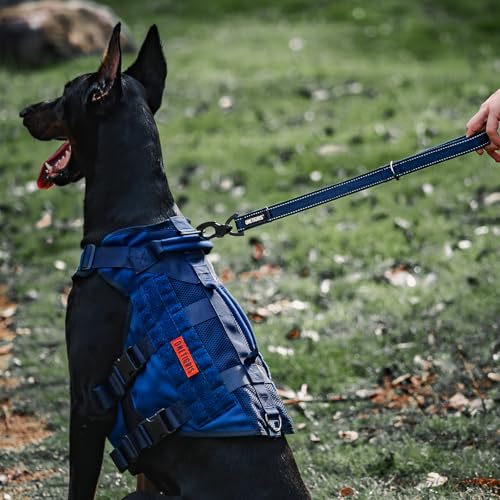Short Traffic Dog Leash for Small Medium Large Dogs (M / Blue)