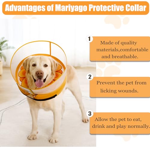 Inflatable Dog Cone Collar with Enhanced Anti (Medium / Yellow Flower)