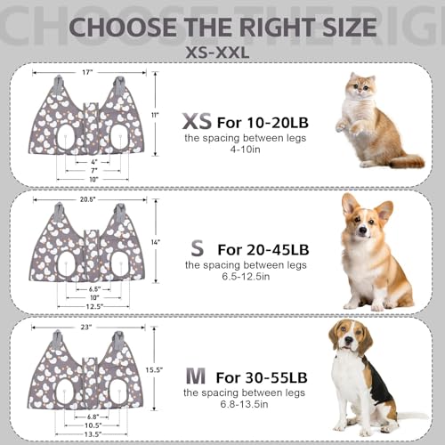 Pet Hammock & Harness for Small Dogs & Cats (XS for Cats & Tiny Dogs 20LB)