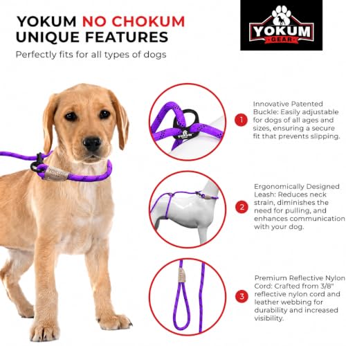 12ft No Pull No Choke Leash Long Rope Dog Leash (12 Ft / PURPLE)