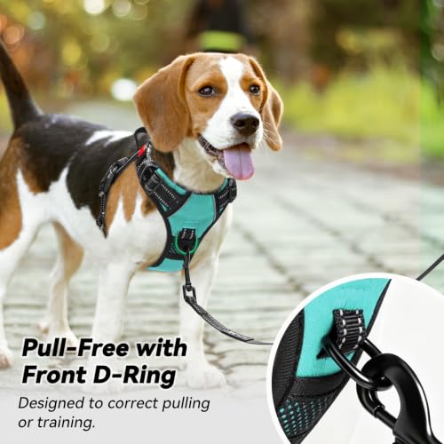 No Pull Dog Harness Small with Front Clip & Neck Release Buckle (S / Mint Blue)