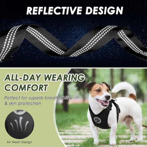 Dog Car Harness Seat Belt (XX-Small / Black)