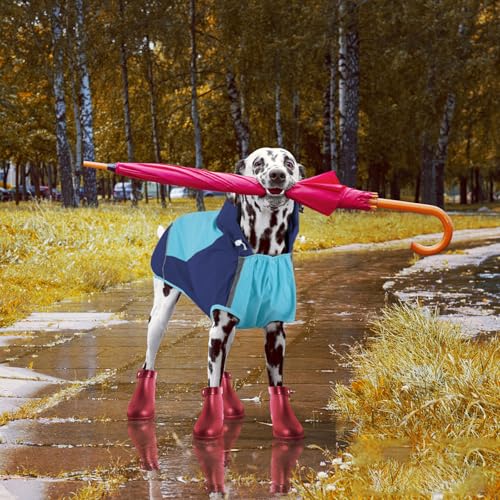 Dog Raincoats for Large Dogs (X-Large / Blue)